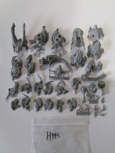 Actual photograph tyranids - actual,